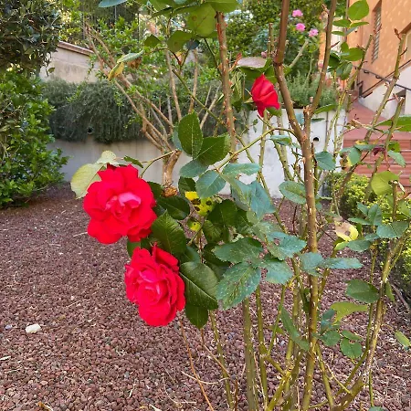 Bed & Breakfast Al Viale *