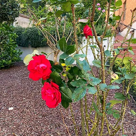 Al Viale Bed & Breakfast 4*